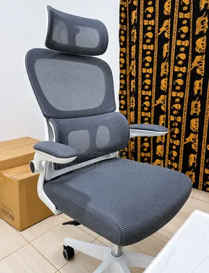 Premium Ergonomic Office Chair - Executive Reclining