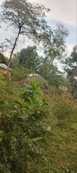 Nusu Eka Ardhi Inauzwa Kajulu - 3