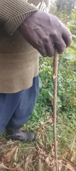 Nusu Eka Ardhi Inauzwa Kajulu - 4