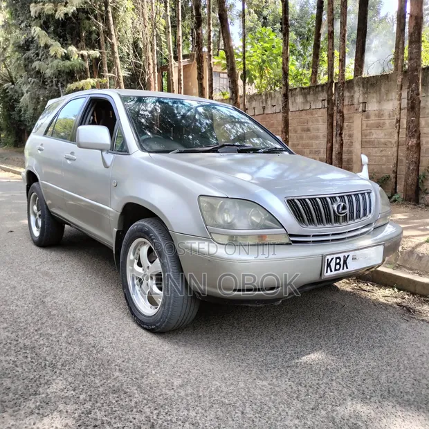 Lexus RX 300 2WD 2003 Silver - 1