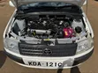 Toyota Probox 1.5 DX 2WD 2013 White - 5