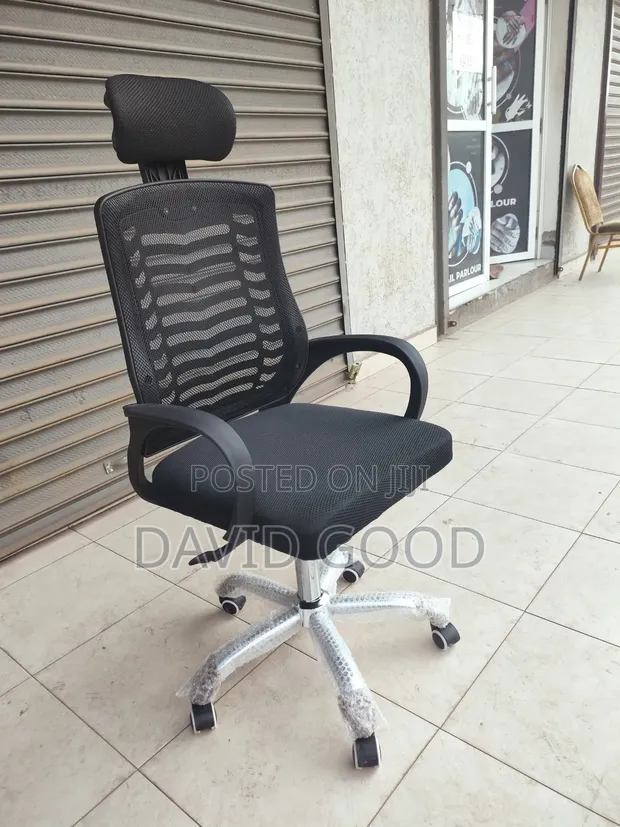 Kiti cha Ofisi cha Emu Orthopedic - 1