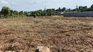 100x100 Plot for Sale in Sunset Kamangu