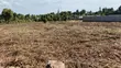 100x100 Plot for Sale in Sunset Kamangu - 1