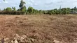 100x100 Plot for Sale in Sunset Kamangu - 2