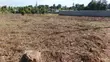 100x100 Plot for Sale in Sunset Kamangu - 3