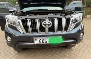 Toyota Land Cruiser Prado 2010 Kijivu