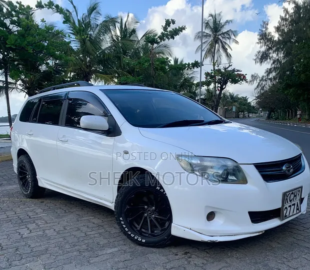Toyota Corolla Fielder 2009 White - 1