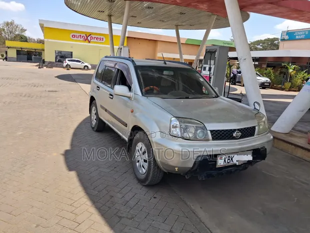 Nissan X-Trail 2.0 SUV 2003 Silver - 1