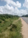 Malindi Gede Plots - 1/2 Acre at KES 5M, 1 Acre at KES 12M, Both Touching Tarmac - 1
