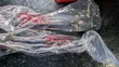 Rack Ends za Toyota Vitz, Belta, Yaris, Aqua (Model Mpya) - 1