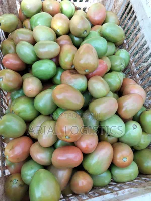 Farm Supplies - Tomatoes