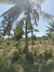 Ekari 2 za Kuuzwa Kilifi Chumani Roka - 1