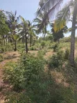 Ekari 2 za Kuuzwa Kilifi Chumani Roka - 2