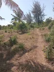 Ekari 2 za Kuuzwa Kilifi Chumani Roka - 3