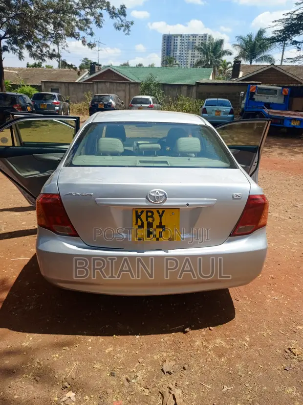 Toyota Axio 2007 Silver - 1