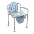 Kiti cha Commode Kinachokunjwa - 3