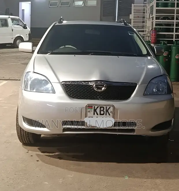 Toyota Corolla RunX 2005 Silver - 1
