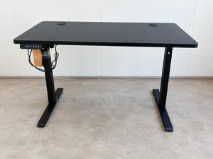 Premium Electric Standing Desk - Height Adjustable Office Table