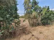 1 Acre Plot Touching Tarmac in Barguret, Nanyuki - 2