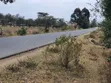 1 Acre Plot Touching Tarmac in Barguret, Nanyuki - 3