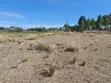 1 Acre Plot Touching Tarmac in Barguret, Nanyuki - 4
