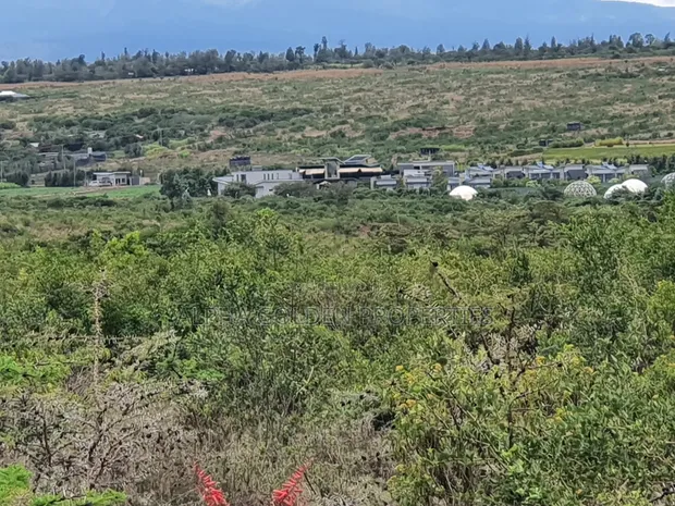Hekta 2.5 za Ardhi Daiga Zinauzwa Karibu na Nanyuki - 1