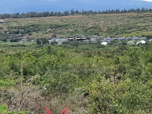 Hekta 2.5 za Ardhi Daiga Zinauzwa Karibu na Nanyuki