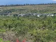 Hekta 2.5 za Ardhi Daiga Zinauzwa Karibu na Nanyuki - 1