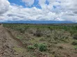 Hekta 2.5 za Ardhi Daiga Zinauzwa Karibu na Nanyuki - 2