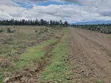 Hekta 2.5 za Ardhi Daiga Zinauzwa Karibu na Nanyuki - 3