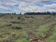 Hekta 2.5 za Ardhi Daiga Zinauzwa Karibu na Nanyuki - 4