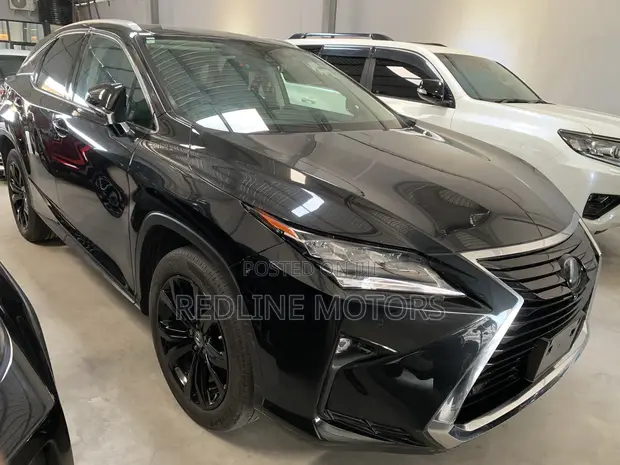 Lexus RX 300 4WD 2019 Matt Black - 1