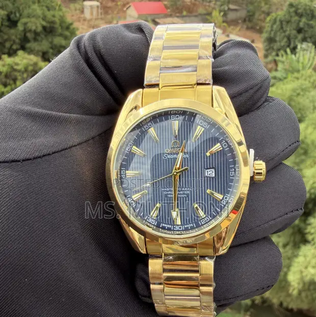 Omega Seamaster Aqua Terra 150M - 1