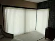 Brand New Office Window Blinds - 1