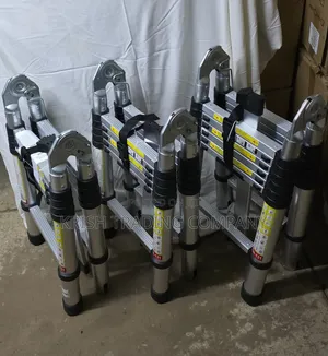 VTFL 4.4m Double Telescopic Ladder