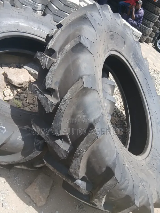 16.9-30 16PR Nylon Atlas Agriculture Tractor Tyres - 1