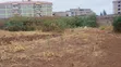 Kitalu cha Kahawa Sukari Prime kwa Ajili ya KODI/Maghorofa - 4