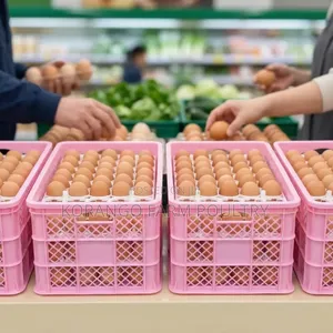 Imported Plastic Egg Transport Crates