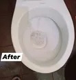 Magshine Cleaning Company: Professional Cleaning Services - 3