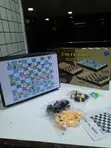 Mchezo wa Bodi wa Sumaku 3-kwa-1: Chess, Draughts, Nyoka na Ngazi - 3