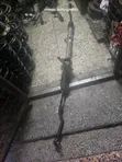 Nissan X-Trail T32 Steering Rack (Iliyoitumika) - 2