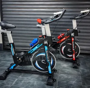 Euromax Indoor Spin Bike - Brand New