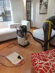 Identity Carpet Cleaners - 3