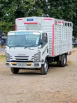 2021 Isuzu NQR Open Body Truck - 2