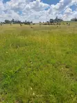Kiwanja cha Kujenga 50x100 Malaa/Kantafu - 1