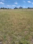 Kiwanja cha Kujenga 50x100 Malaa/Kantafu - 3
