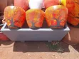Concrete Trough for Planting - 2