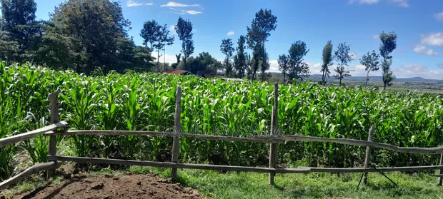 Eneo la Eka 10 Linauzwa Laikipia Magharibi - 1