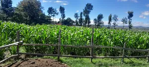 Eneo la Eka 10 Linauzwa Laikipia Magharibi